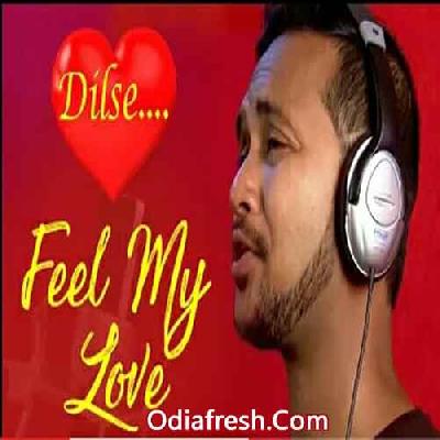 Feel My Love (Satyajeet)  Album Odia Song
